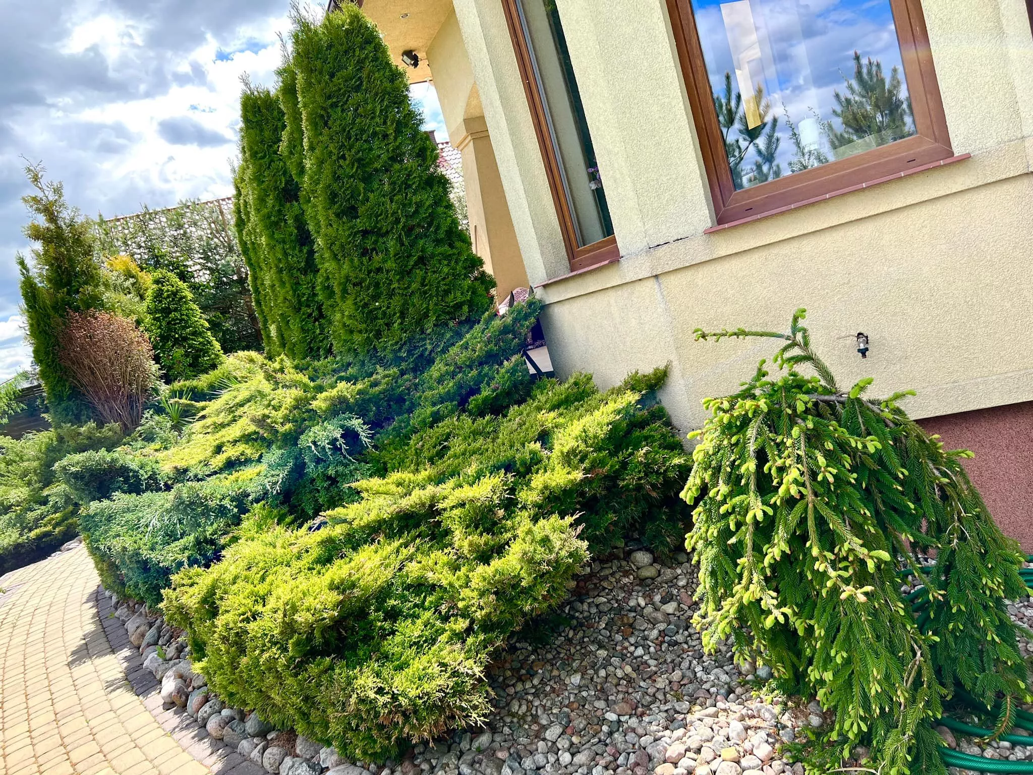 Gwiazda disco polo pochwaliła się wielkim, rajskim ogrodem! Wiemy kto go zaprojektował! Jest wyjątkowy! [ZDJĘCIA]